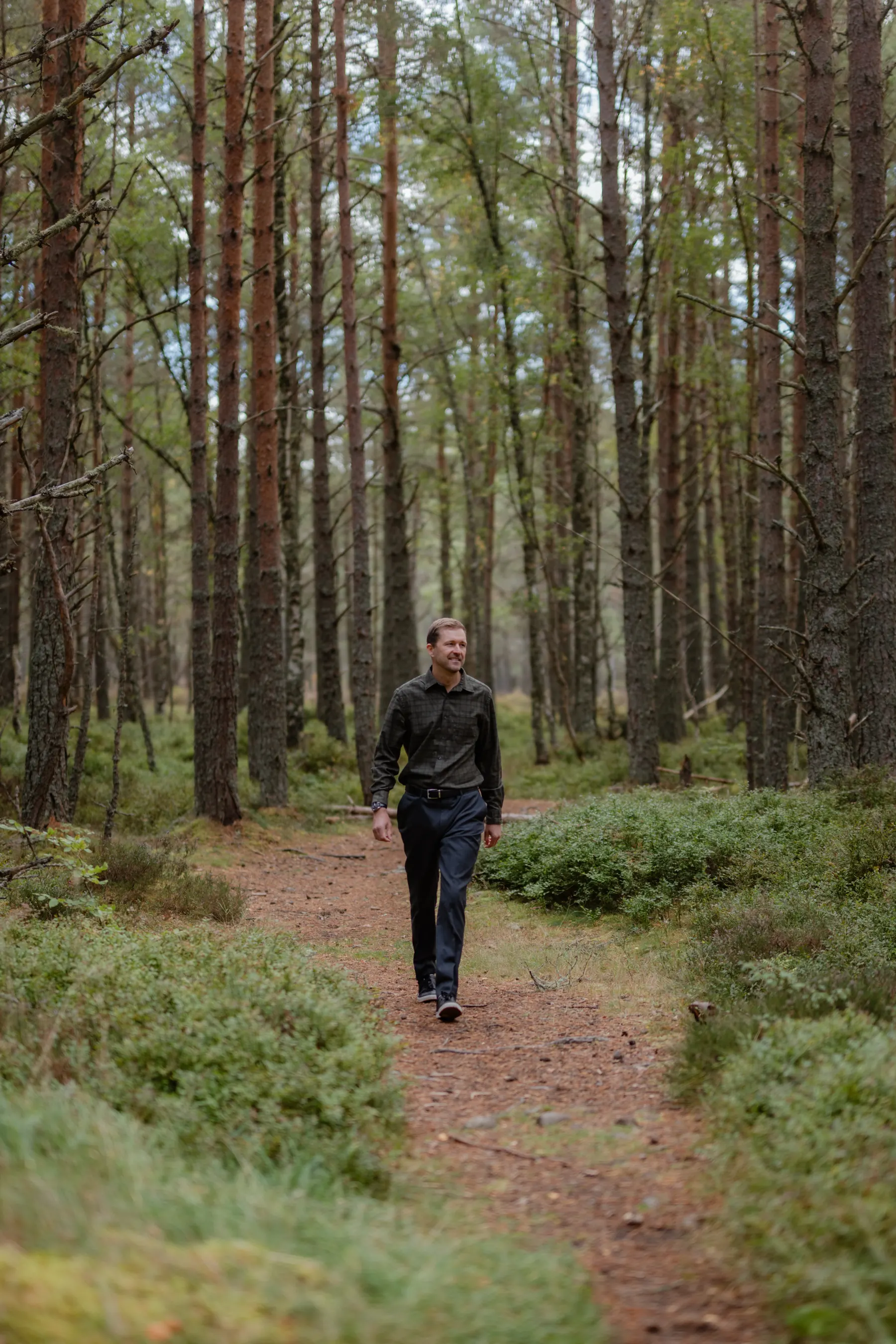 A lone figure walking along a narrow path through a Highland pine forest